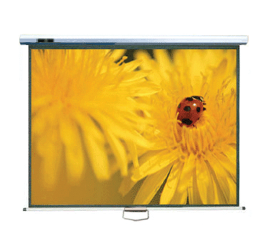 Officepoint Projector Screen 96 x 96 Wall Mount (03PSN1006)