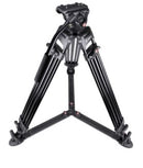 CAISI DV1800D LED Video Tripod – Dimmable Studio/Camera Light