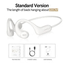 QCY T22 Crossky Link Wireless Bluetooth Earphone