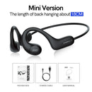 QCY T22 Crossky Link Wireless Bluetooth Earphone