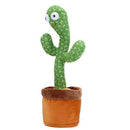 Dancing Cactus Kids Toy