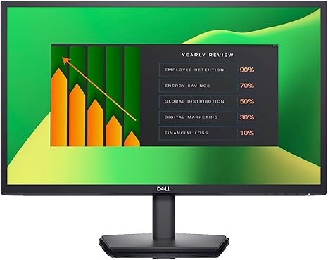 Dell E2423H 23.8" Full HD Monitor displaying yearly review data and performance metrics.