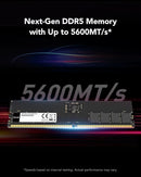 Lexar 32GB DDR5 5600MHz UDIMM desktop RAM connector and module detail