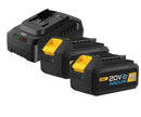Deli EDL-CM20A4E 20V 4.0Ah Lithium-Ion Battery & Fast Charger Set – Long-Lasting Power for Cordless Tools