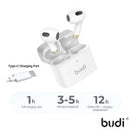 Budi EP17W Wireless Bluetooth Earbuds – True Wireless Earphones with Charging Case & HD Microphone