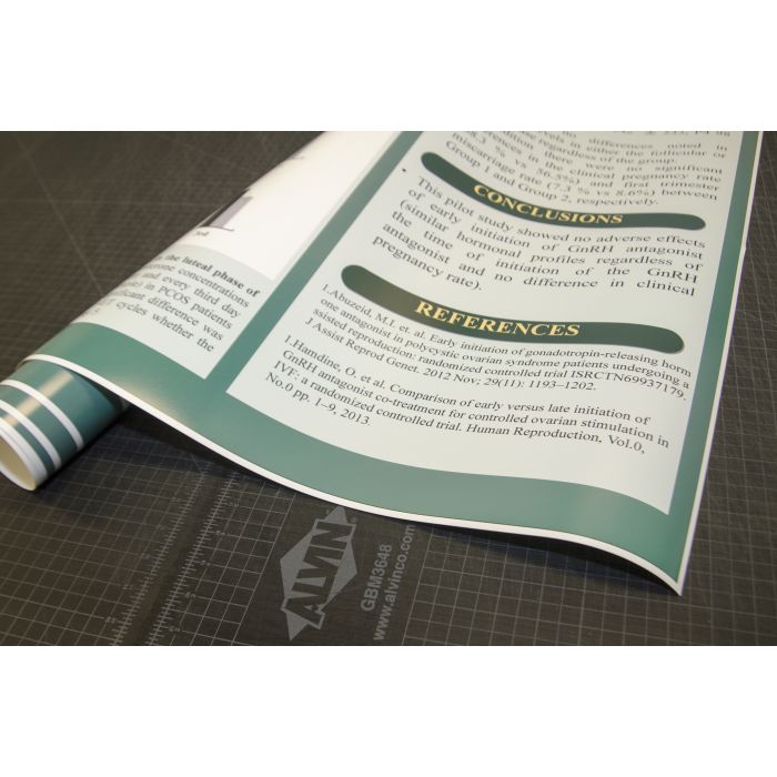 Epson Premium Semigloss Photo Paper Roll 210mm x 10m Roll (C13S041336)