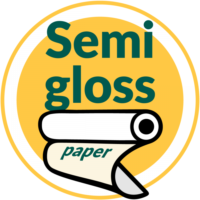 Epson Premium Semigloss Photo Paper Roll 210mm x 10m Roll (C13S041336)