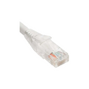 Siemon Cat 6 5M Patch Cord Connected to Network Switch and Patch Panel