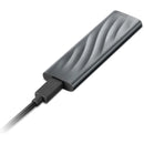 Lenovo PS8 Portable External SSD 2TB  (GXB1M24161)