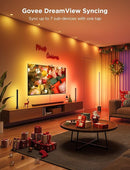 Govee Envisual TV Backlight 3 Lite (55~65 Inch)