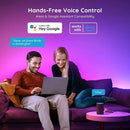 Govee RGBIC Basic Wi-Fi + Bluetooth LED Strip Lights (10 Meter)