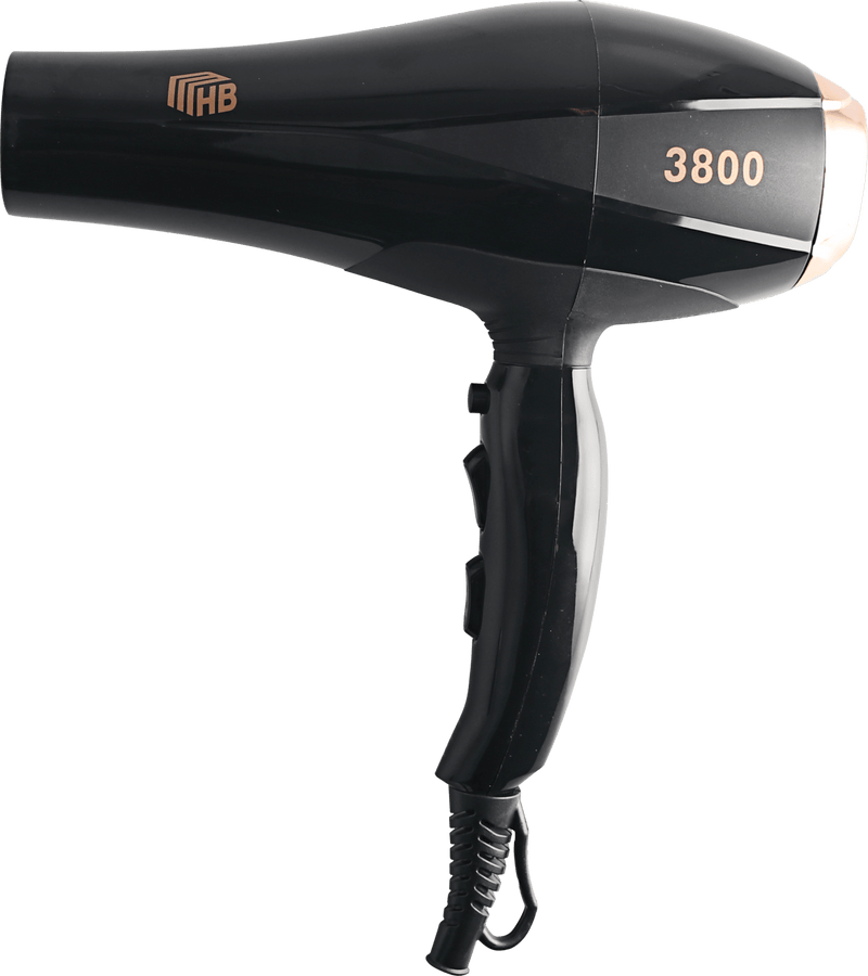 Rebune HD-2005 Ultra Fast 2 Speeds Fashion Hair Dryer 2200W