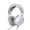 Havit H2049d Wired 3.5mm Over-Ear Gaming Headphones – Heavy Duty Professional Stereo Sound Headset with Noise Isolation Microphone for PC, Console, and Mobile Gaming Use