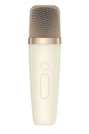 Havit SK823BT Retro Portable Karaoke Bluetooth Speaker – Heavy Duty Professional Wireless PA Speaker with Microphone Support, High Power Audio, and Rechargeable Battery for Parties, Karaoke, and Outdoor Entertainment Use