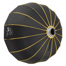 Hive Φ105cm Silver Interior Bowens Mount Beauty Dish Softbox with Light Shield &amp; Grid