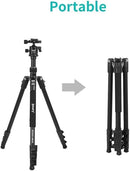 Jmary KT325-NB30 Professional Tripod 