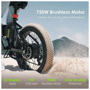 Oraimo OEK-5330N‎ Scrambler 100 750W Fat-tire Adult Fast Charging Electric Bike with Brushless Motor