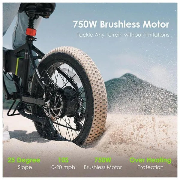 Oraimo OEK-5330N‎ Scrambler 100 750W Fat-tire Adult Fast Charging Electric Bike with Brushless Motor