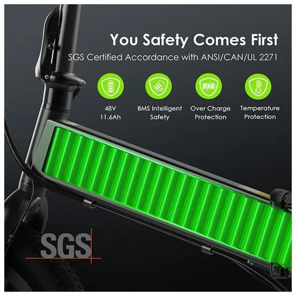 Oraimo OEK-5330N‎ Scrambler 100 750W Fat-tire Adult Fast Charging Electric Bike with Brushless Motor
