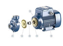 Pedrollo PKm60 0.5HP Peripheral impeller Water Pump – Efficient & Durable Domestic & Industrial Pump