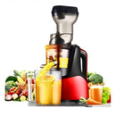 RAF R.2831 150W Slow Juicer – Efficient Electric Juicer for Fresh Fruits & Vegetables