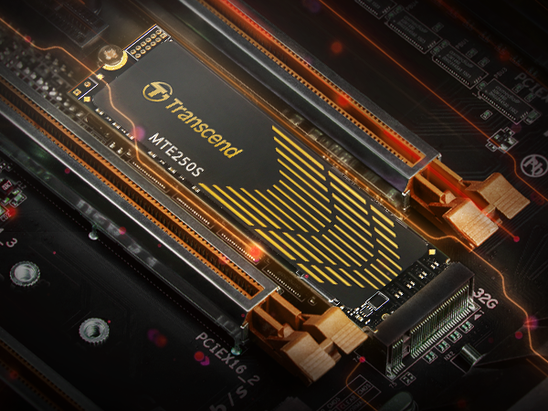 Transcend TS1TMTE250S 1TB M.2 2280 PCIe Gen4x4 NVMe 3D TLC SSD