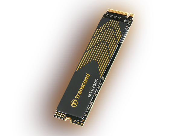 Transcend TS1TMTE250S 1TB M.2 2280 PCIe Gen4x4 NVMe 3D TLC SSD
