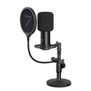 Ryms AX100D Cardioid Condenser XLR Microphone