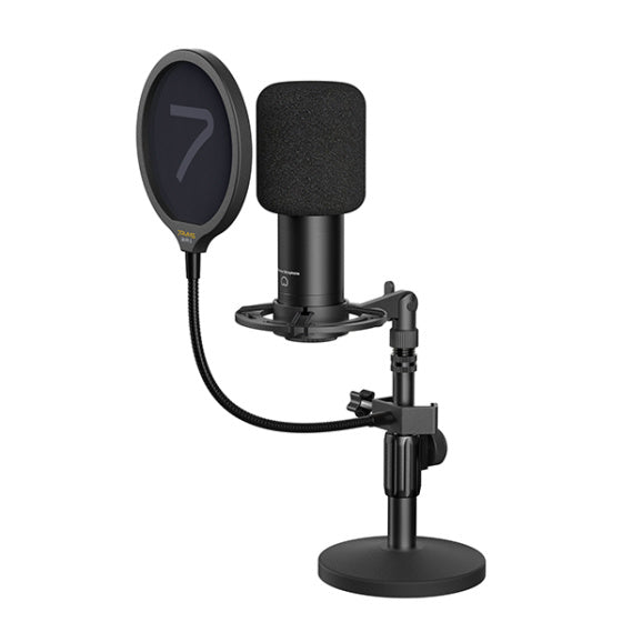 Ryms AX100D Cardioid Condenser XLR Microphone