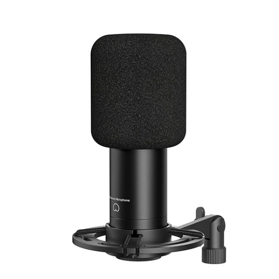 Ryms AX100D Cardioid Condenser XLR Microphone