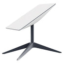 Starlink Standard Kit