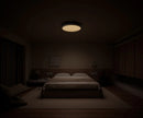 Xiaomi 62934 Smart Ceiling Light D40 – Provides bright, adjustable lighting for comfortable and energy-efficient illumination in any room