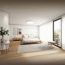 Xiaomi 62934 Smart Ceiling Light D40 – Provides bright, adjustable lighting for comfortable and energy-efficient illumination in any room
