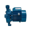 Pedrollo CPM158 750W 1HP centrifugal pumps – High-Efficiency Water Pump for Residential, Commercial & Industrial Use