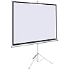 Office point 70X70 TRIPOD projector screen