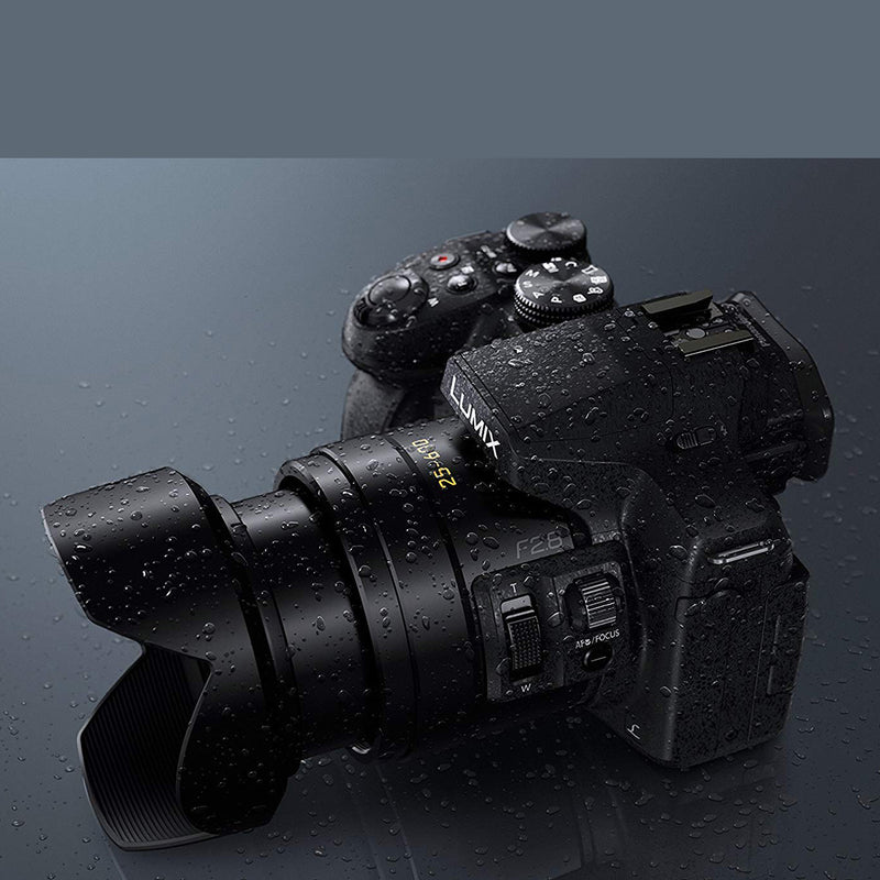 Panasonic Lumix DMC-FZ300 Long Zoom Digital Camera