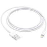 Apple Cable for iPad Air, iPad 6th Gen, iPad Mini & iPhones (MQUE2ZM/A)