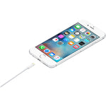 Apple Cable for iPad Air, iPad 6th Gen, iPad Mini & iPhones (MQUE2ZM/A)