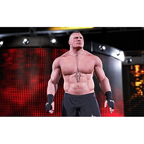 Wwe 2k20 Video Game for PS4