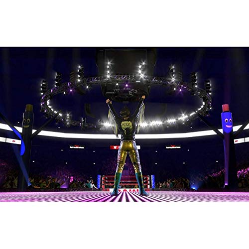 Wwe 2k20 Video Game for PS4