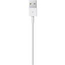 Apple Cable for iPad Air, iPad 6th Gen, iPad Mini & iPhones (MQUE2ZM/A)