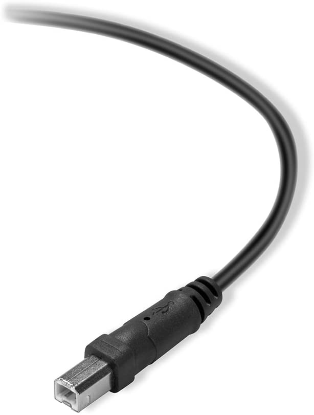 Belkin 3M USB 2.0 Premium Printer Cable (F3U154BT3M)