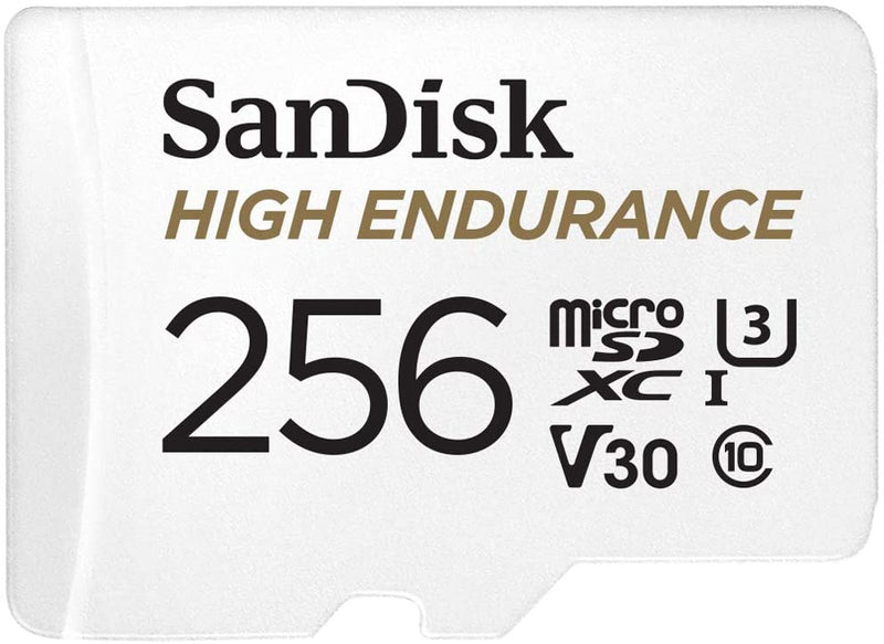 SanDisk MicroSD CLASS 10 100MBPS 256GB High Endurance Card (SDSQQNR-256G-GN6IA)