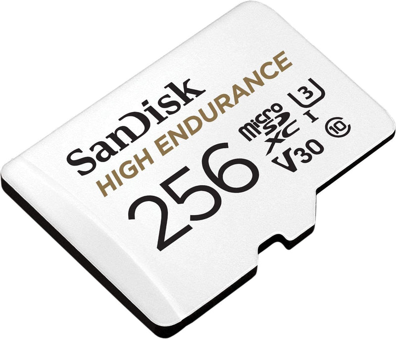 SanDisk MicroSD CLASS 10 100MBPS 256GB High Endurance Card (SDSQQNR-256G-GN6IA)