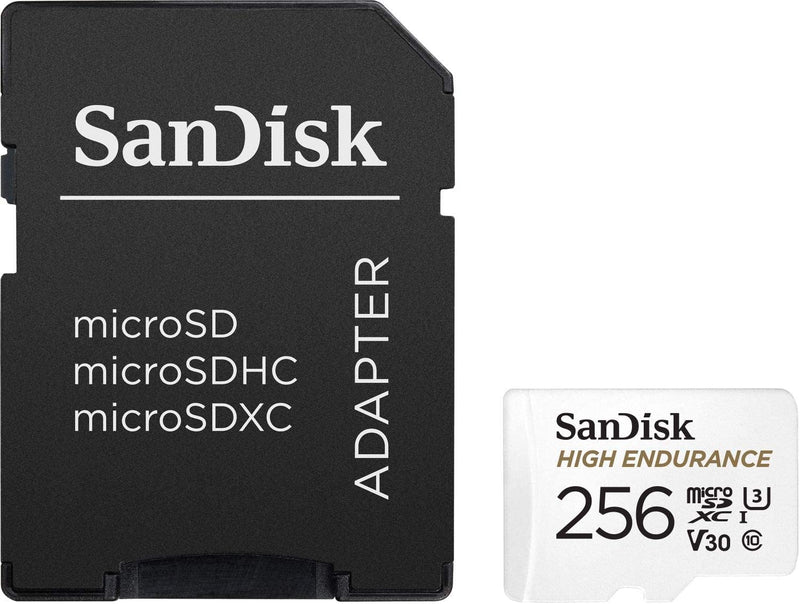 SanDisk MicroSD CLASS 10 100MBPS 256GB High Endurance Card (SDSQQNR-256G-GN6IA)