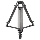 Sirui BCT-2203 Carbon Fiber Tripod & BCH-20 Video Head Bundle (BCT-2203+BCH-20)