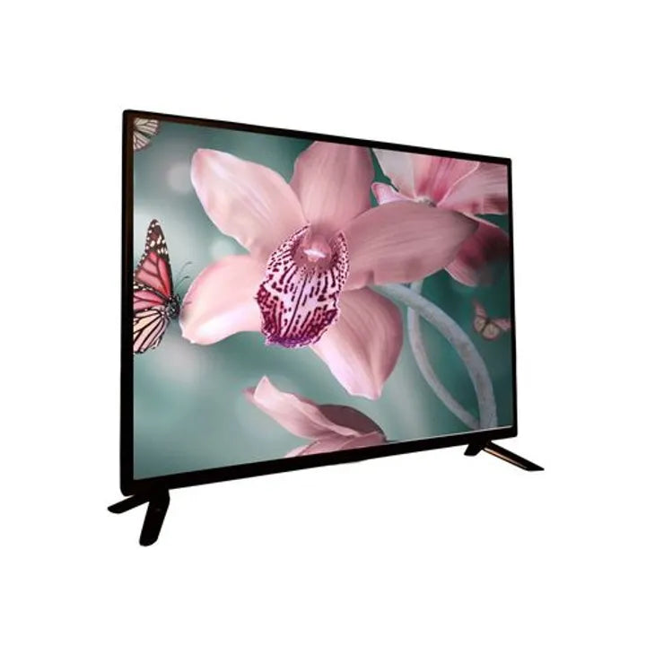Iconix 22F1 22 Inch AC-DC Digital LED TV With Inbuilt Decoder