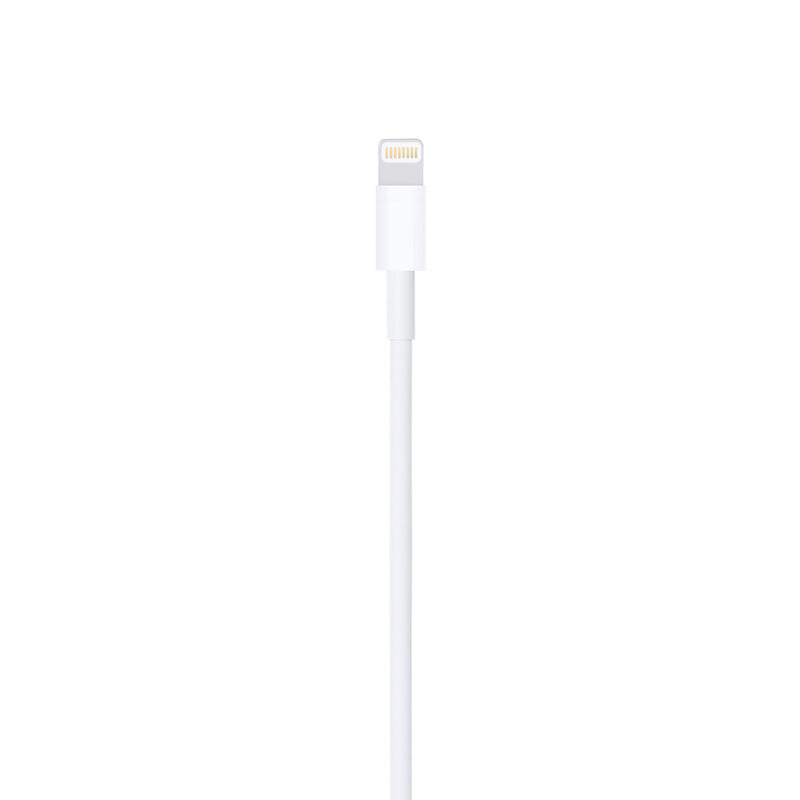 Apple MD819ZM/A 2m Lightning USB Cable