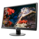 HP V214a 20.7 Inch Widescreen Monitor (1FR84AS)