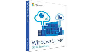 Microsoft Win Svr Std 2019 x64 Eng 1pk DSP 16 (P73-07788)